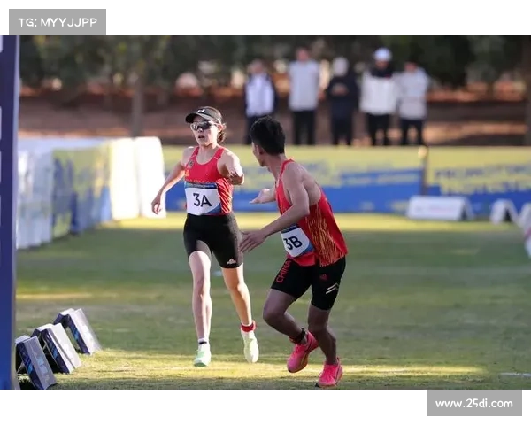 世界赛事接力赛 世界接力赛项目