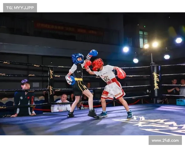 国内格斗赛事_国内格斗赛事巅峰对决英雄崛起荣耀加冕传奇篇章