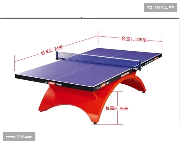 国际赛事标准乒乓球桌尺寸