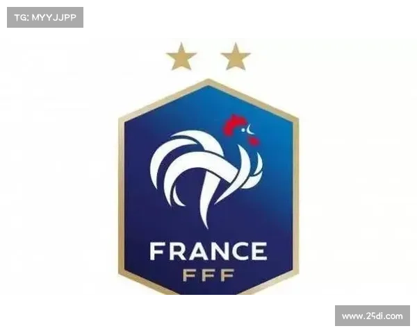 法国国内赛事—法国比赛记录